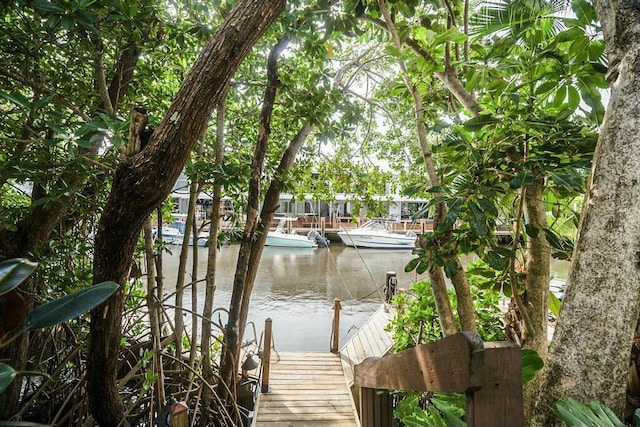 dock area featuring a water view