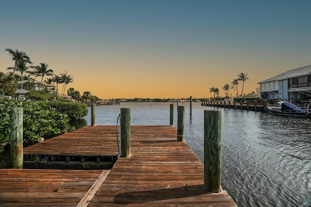 dock area with a water view