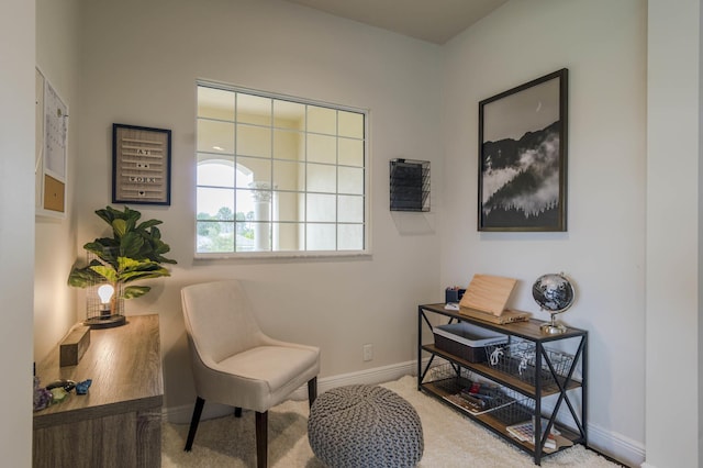 sitting room featuring carpet floors