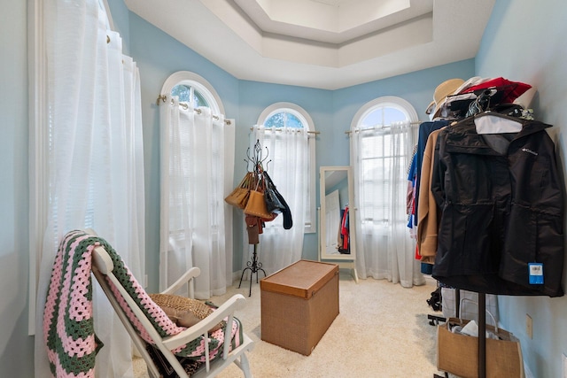 spacious closet featuring a raised ceiling and carpet