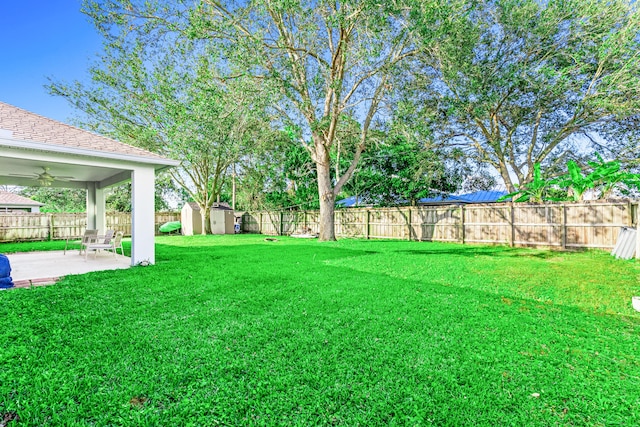 view of yard featuring a patio, ceiling fan, and a storage shed