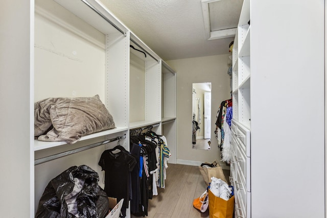 spacious closet featuring wood-type flooring