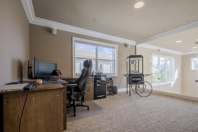 office area featuring ornamental molding and carpet flooring