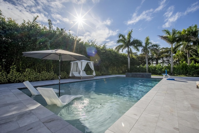 view of pool featuring a patio area