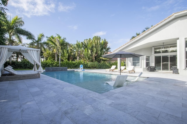 view of pool featuring a patio area