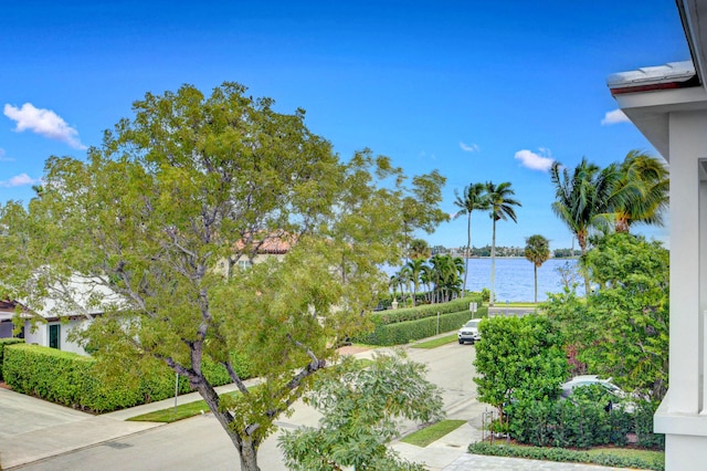 view of home's community with a water view