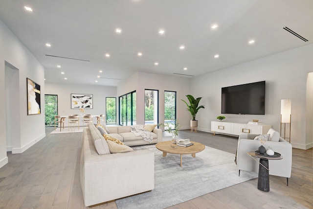 living room featuring light wood-type flooring