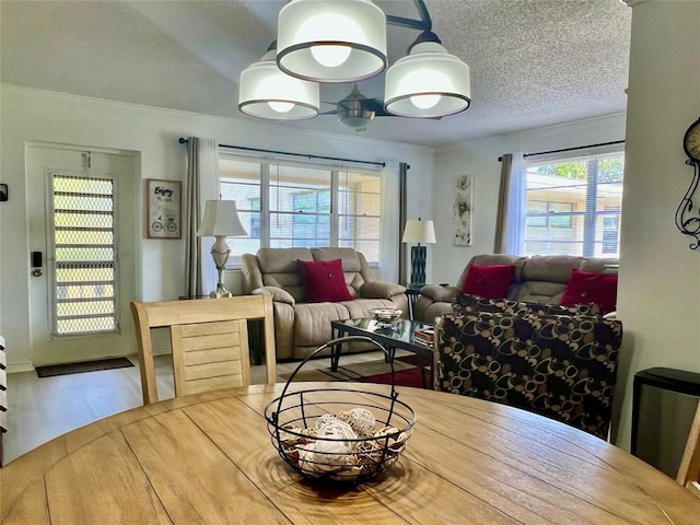 living room featuring a textured ceiling