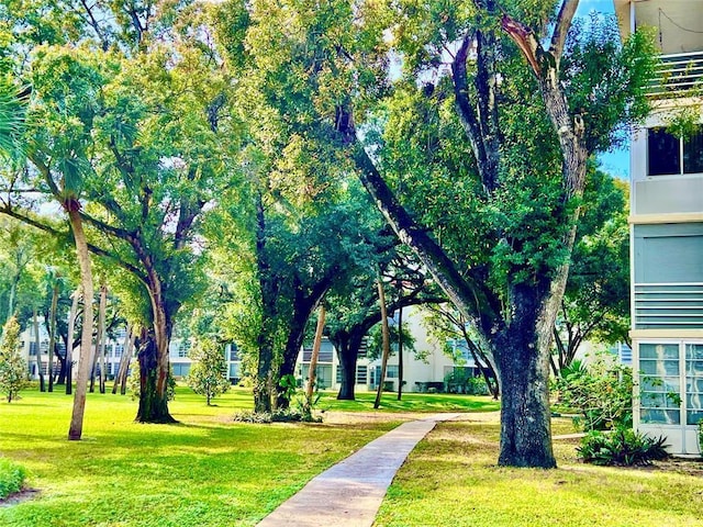 view of property's community with a lawn