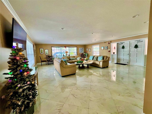 living room featuring ornamental molding and a textured ceiling