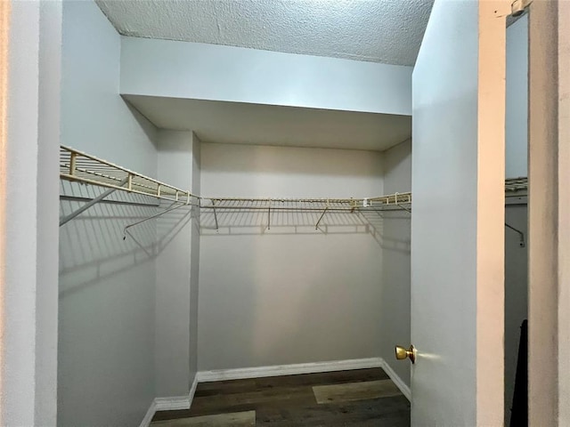 spacious closet with dark wood-type flooring