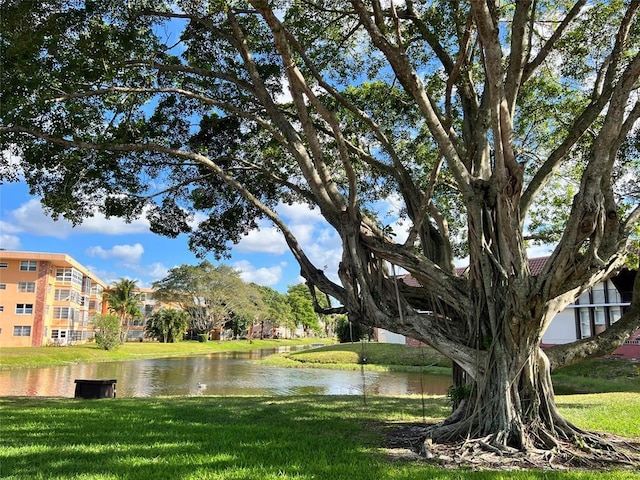 view of home's community featuring a water view and a yard