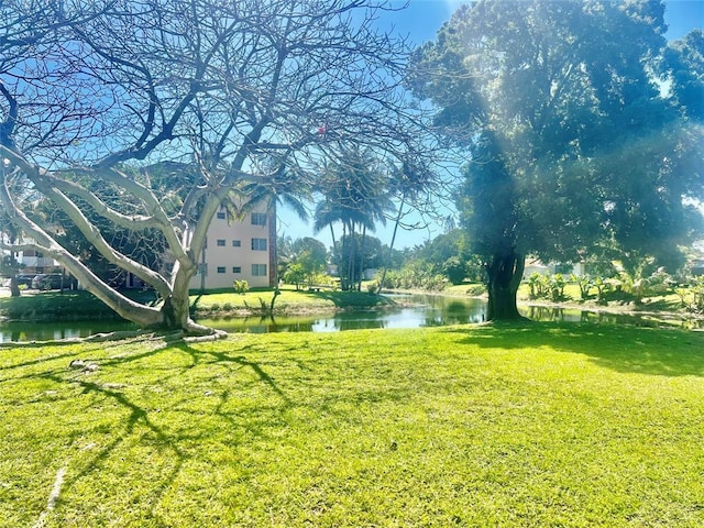 view of yard with a water view