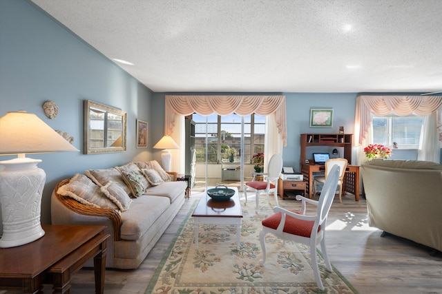 living room with wood-type flooring and a textured ceiling