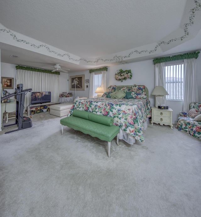 bedroom with a textured ceiling, a raised ceiling, and carpet floors