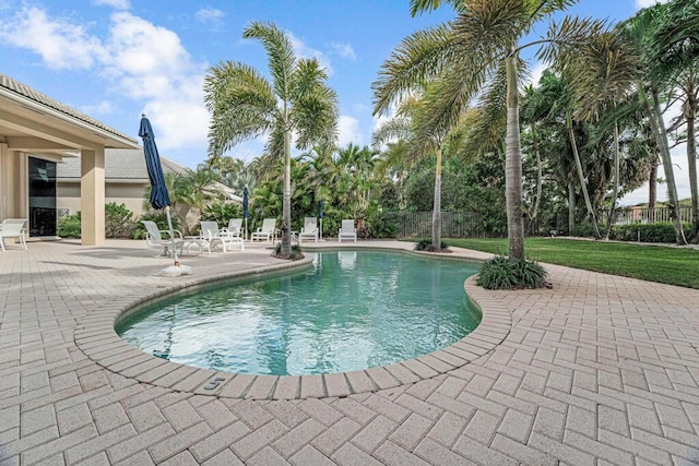 view of pool featuring a yard and a patio area