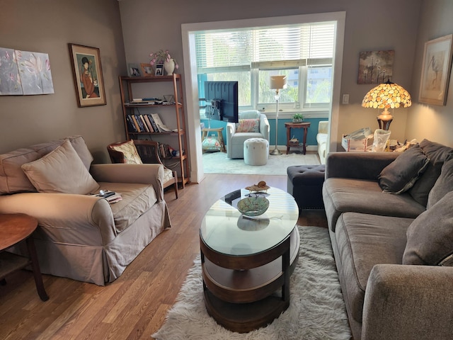 living room featuring hardwood / wood-style flooring