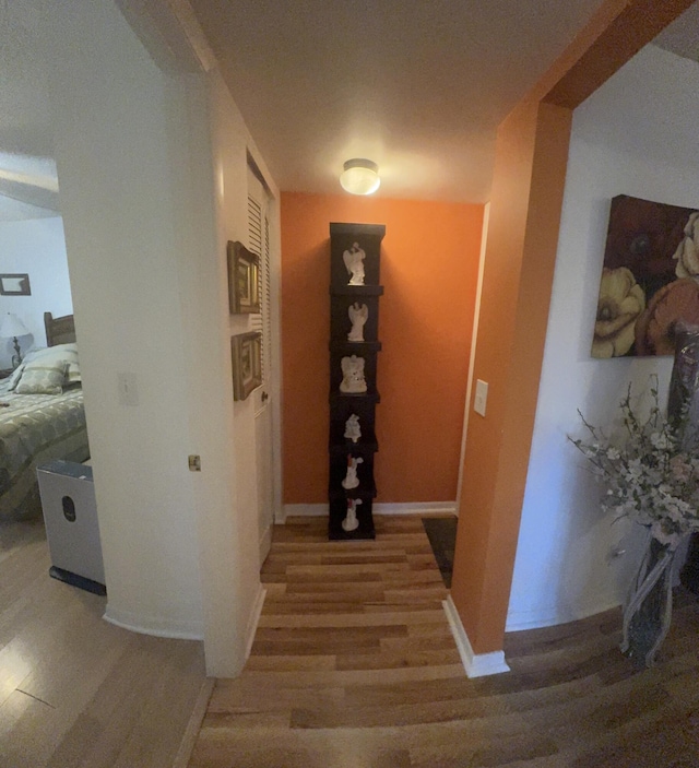 hallway featuring wood-type flooring