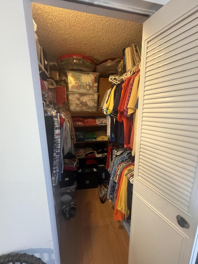 spacious closet with hardwood / wood-style floors