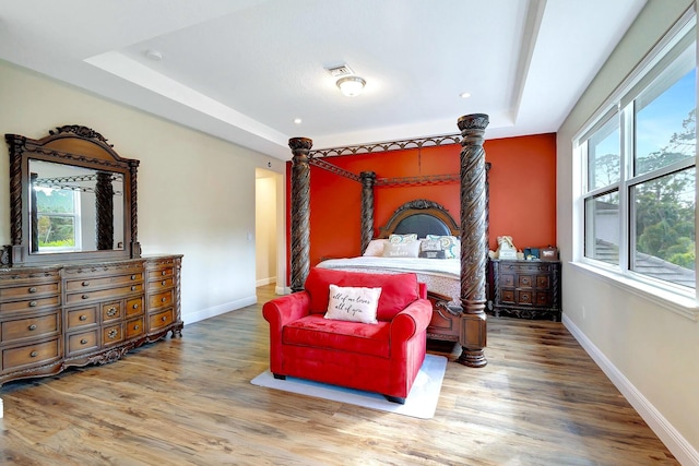 bedroom with multiple windows, hardwood / wood-style flooring, and a tray ceiling