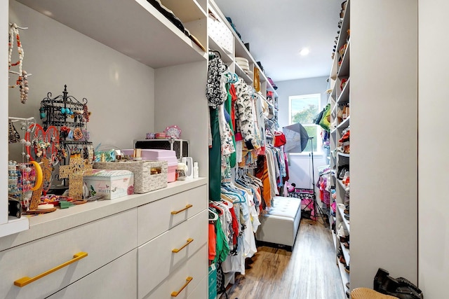 spacious closet featuring wood-type flooring