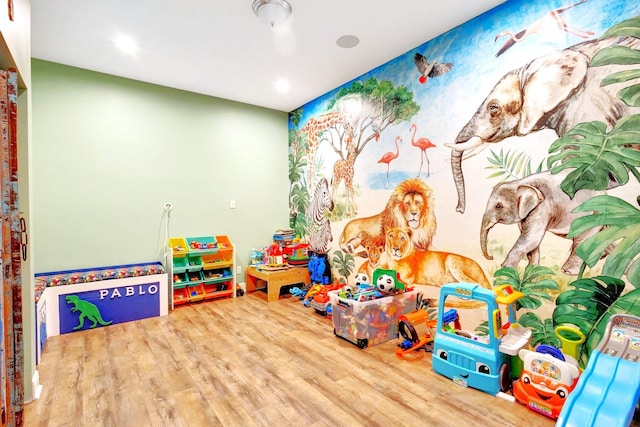 recreation room featuring hardwood / wood-style floors