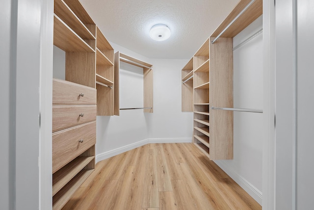 spacious closet with light hardwood / wood-style floors