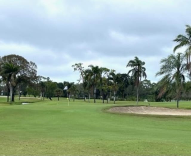 view of home's community with a lawn