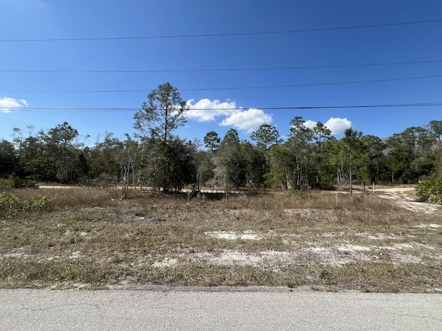 494 Burrstone Dr, Lehigh Acres FL, 33974 land for sale