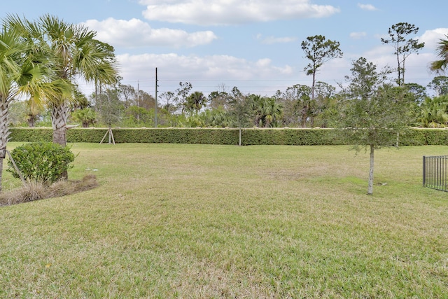 11263 SW Visconti Way, Port Saint Lucie, FL 34986 - view of yard