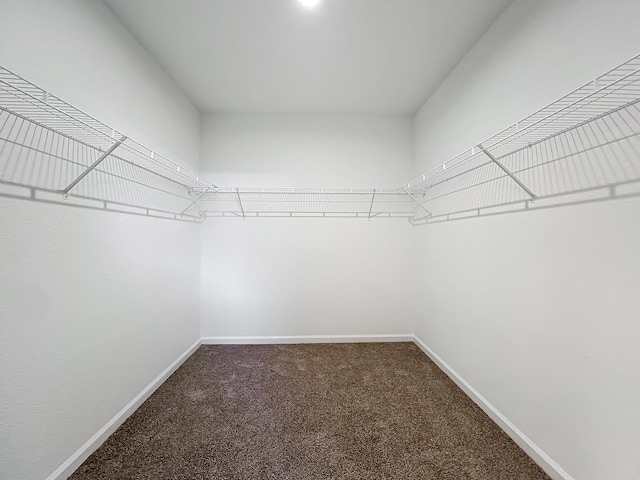 spacious closet with carpet flooring