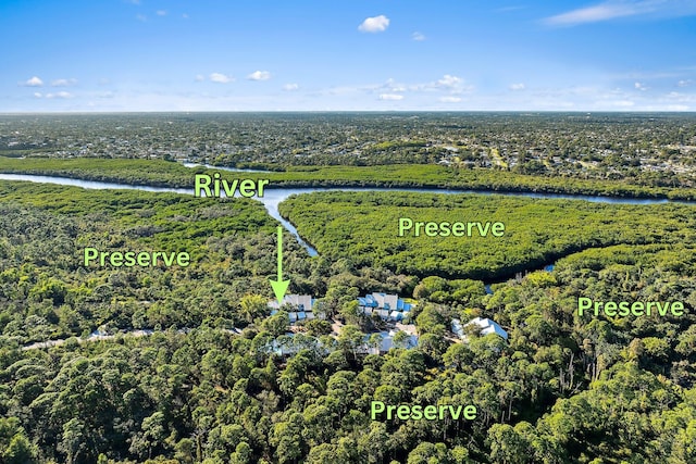 bird's eye view featuring a water view and a forest view