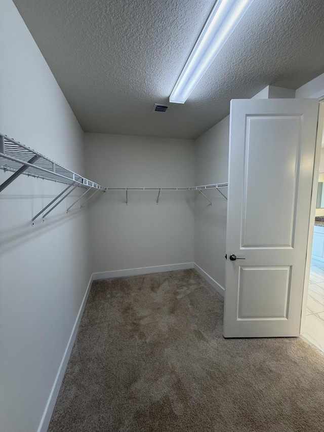 spacious closet featuring carpet flooring