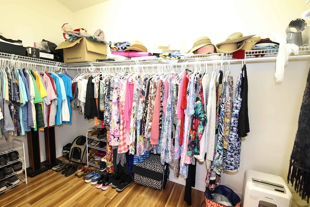 spacious closet with hardwood / wood-style flooring