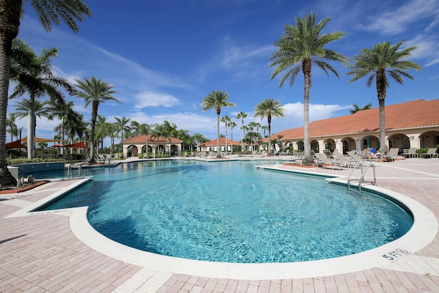 view of pool with a patio area