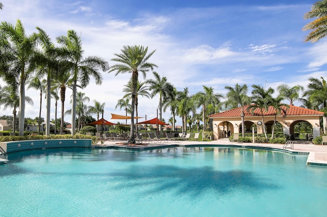 view of swimming pool featuring a patio