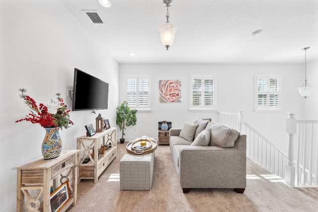 carpeted living room featuring a textured ceiling and a healthy amount of sunlight