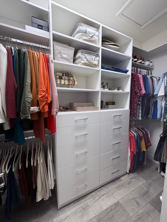 spacious closet featuring light hardwood / wood-style flooring