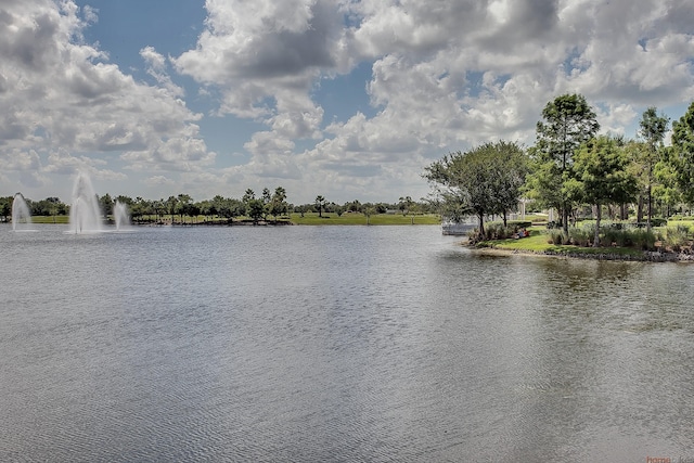 property view of water