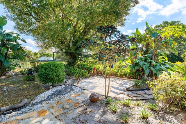 view of yard with a patio area