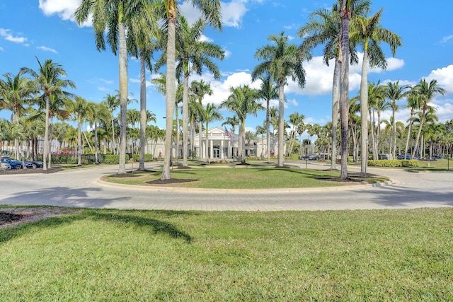 view of property's community with a yard