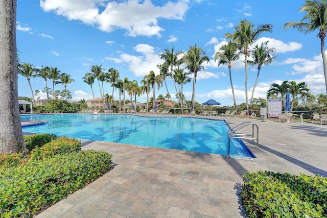 view of swimming pool with a patio