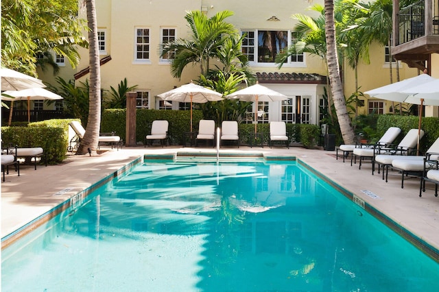 view of swimming pool featuring a patio