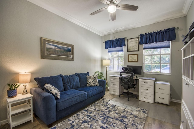 office area featuring ceiling fan, dark wood-type flooring, and crown molding