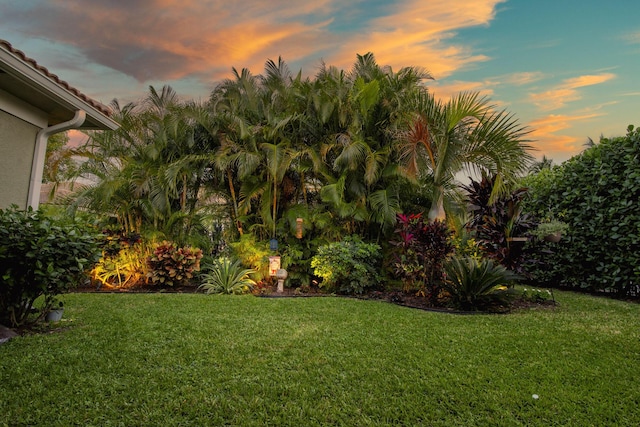 view of yard at dusk