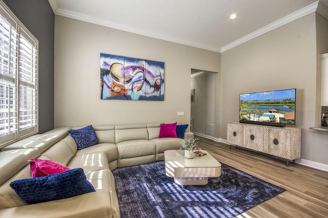 living room with wood-type flooring and crown molding