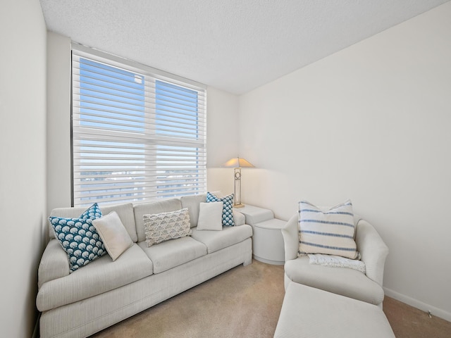 carpeted living room with a textured ceiling