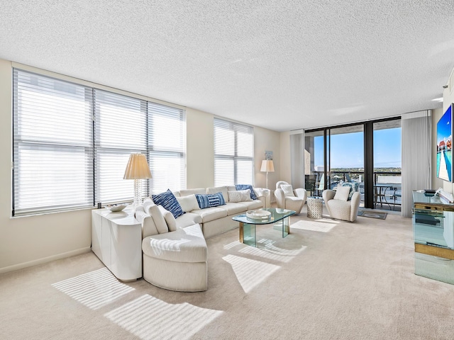 carpeted living room featuring plenty of natural light and a textured ceiling