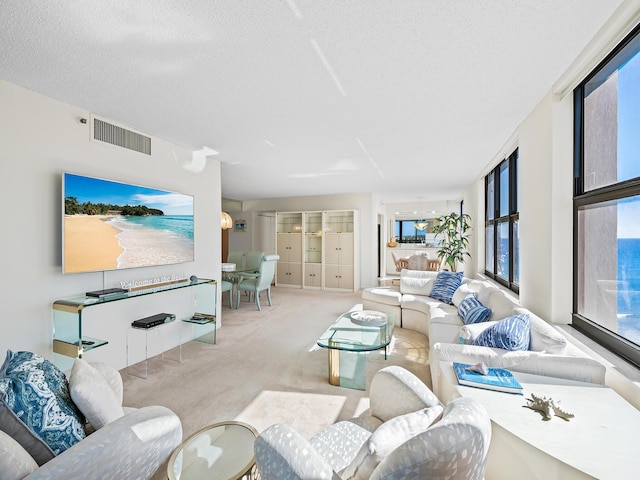 living room featuring a textured ceiling and carpet