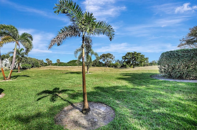 view of yard with a rural view